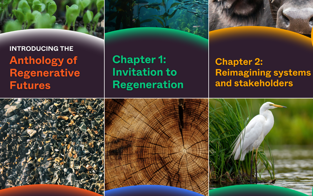 anthology of regenerative futures is published – unearthodox