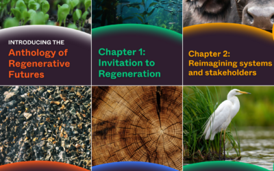 anthology of regenerative futures is published – unearthodox